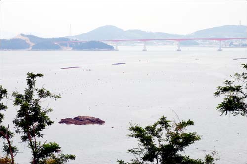 장도 내의 동남쪽 모서리 쪽에서 바라 본 바다 쪽 전경. 다리는 우측 완도와 좌측의 신지도를 연결한 연륙교. 촬영한 위치는 원래 장도 내의 ‘동남치’라 불리는 관측 시설이 있던 곳으로 완도의 먼 바깥쪽 바다에서 청해진으로 들어 오는 배들을 한눈에 볼 수 있었던 곳. 앞쪽에 보이는 암초는 ‘압여’라 부르는 곳으로 청해진 당시 배를 댔던 곳으로 추정. 